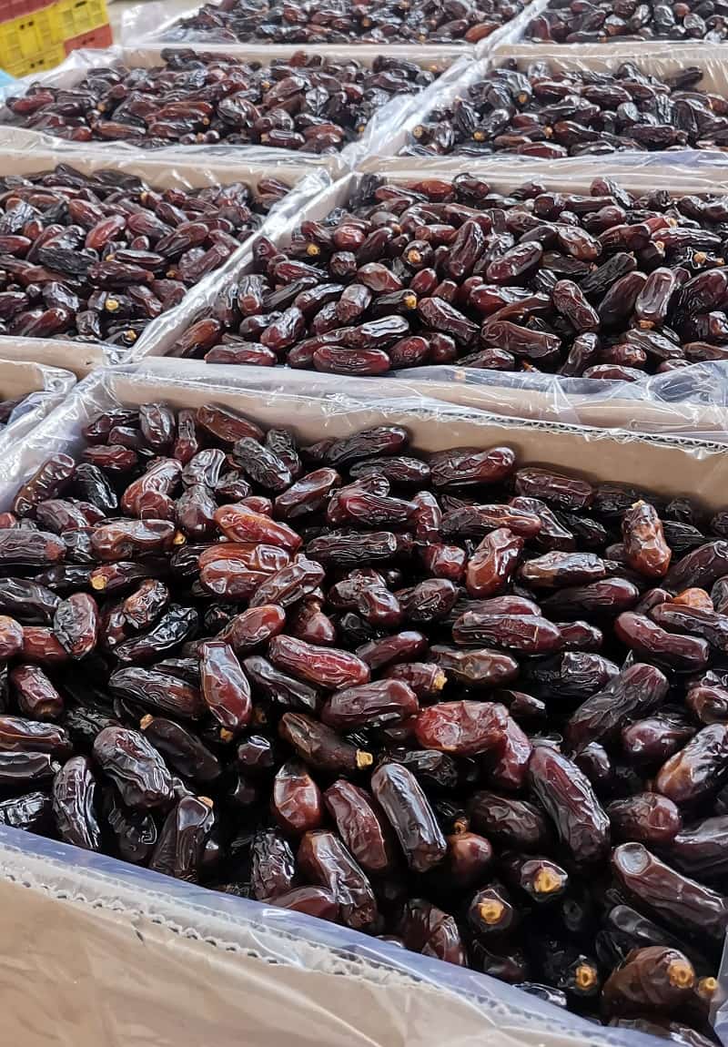 قیمت خرما ربی صادراتی | فروش عمده درب کارخانه